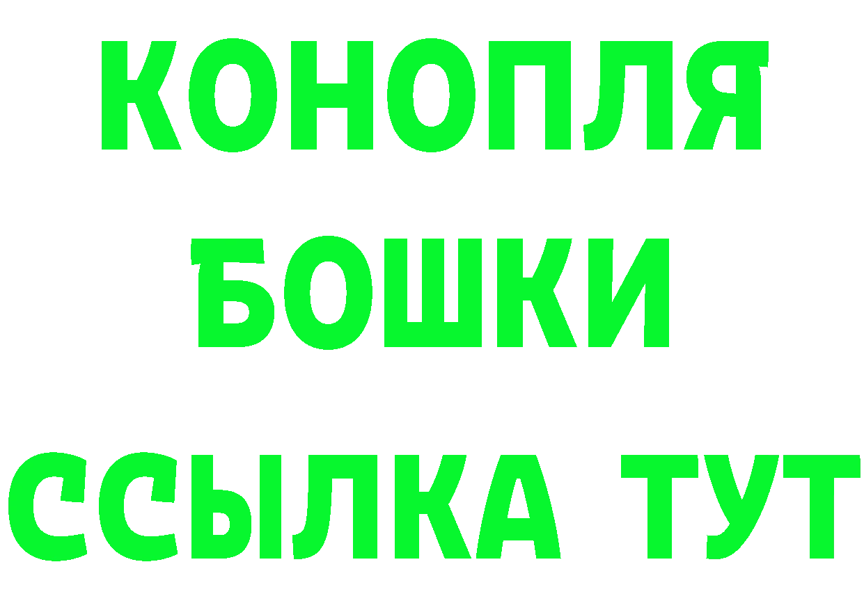 Alfa_PVP СК КРИС вход площадка KRAKEN Октябрьский